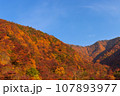 紅葉に彩られた山と秋晴れの青空 107893977