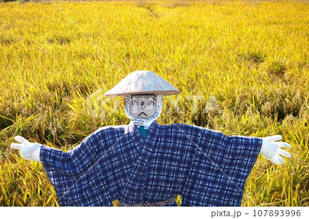 案山子 107893996
