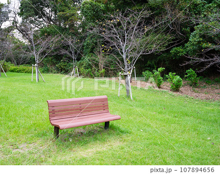 芝生にある茶色いベンチ 芝生にある茶色いベンチ 107894656