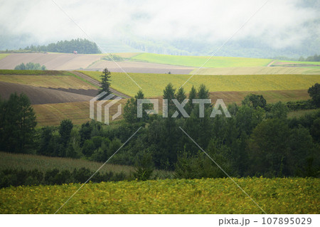 北海道 美瑛の「新栄の丘展望公園」から見える景色 107895029