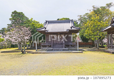 福岡県豊前市天地山公園にある甲神社拝殿と桜 福岡県豊前市天地山公園にある甲神社拝殿と桜 107895273