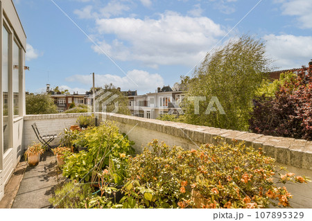 an outside area with flowers and plants in the fore - windowed part of a house on a sunny day an outside area with flowers and plants in the fore - windowed part of a house on a sunny day 107895329