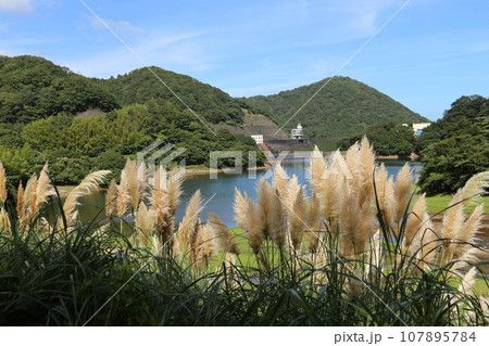 ススキのある風景 ススキのある風景 107895784