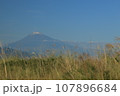 ススキの野原と冠雪した秋の富士山 107896684