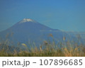 ススキと冠雪した秋の富士山 107896685
