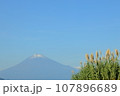 富士山と青空に映えるパンパスグラス 107896689