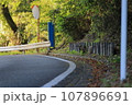 カーブする道路と道端の落ち葉 107896691