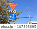 秋の桜の葉と標識 107896695
