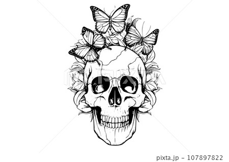 Skull with butterfly hand drawn ink sketch. Engraved style vector illustration. Skull with butterfly hand drawn ink sketch. Engraved style vector illustration. 107897822