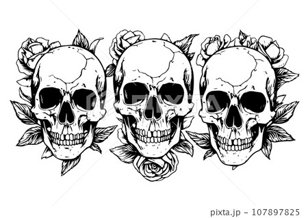 Skull with roses hand drawn ink sketch. Engraved style vector illustration. 107897825