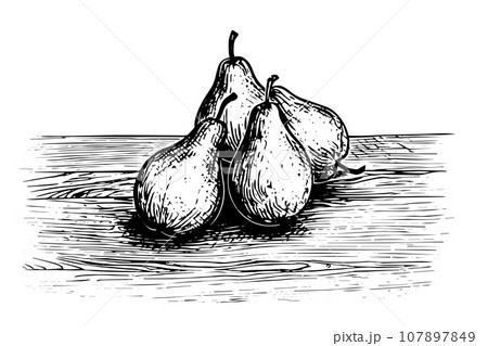 Pear on a desk hand drawn ink sketch. Engraved style vector illustration. Pear on a desk hand drawn ink sketch. Engraved style vector illustration. 107897849