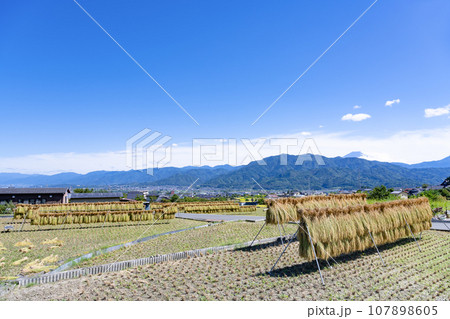 山梨県南巨摩郡富士川町の農村風景 107898605