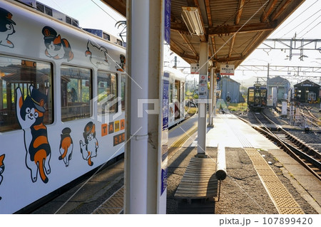 ラッピング電車 たま電車 和歌山電鐵 ラッピング電車 たま電車 和歌山電鐵 107899420