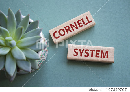 Cornell system symbol. Concept word Cornell system on wooden blocks. Beautiful grey green background with succulent plant. Business and Cornell system concept. Copy space Cornell system symbol. Concept word Cornell system on wooden blocks. Beautiful grey green background with succulent plant. Business and Cornell system concept. Copy space 107899707