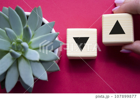 Interest rate symbol. Businessman hand is making a choice between two cubes with arrow going down and arrow going up. Beautiful red background with succulent plant. Business concept. Copy space. Interest rate symbol. Businessman hand is making a choice between two cubes with arrow going down and arrow going up. Beautiful red background with succulent plant. Business concept. Copy space. 107899877