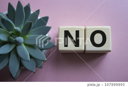 No symbol. Concept words No on wooden blocks. Beautiful pink background with succulent plant. Business and No concept. Copy space. 107899893