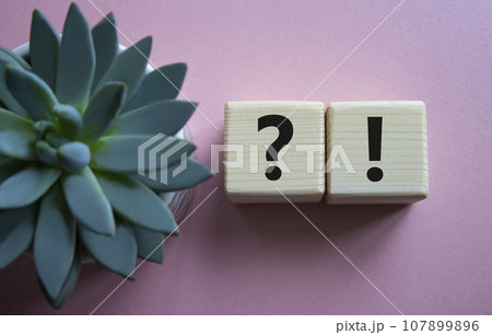 Question mark and exclamation mark symbol. Question mark and exclamation mark on wooden cubes. Beautiful pink background with succulent plant. Business concept. Copy space. 107899896