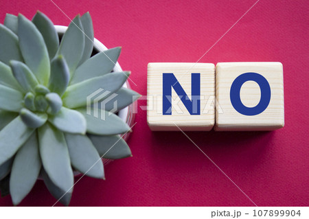 No symbol. Concept words No on wooden blocks. Beautiful red background with succulent plant. Business and No concept. Copy space. 107899904