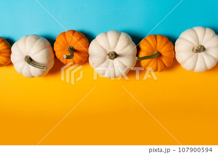 pumpkin on table 107900594