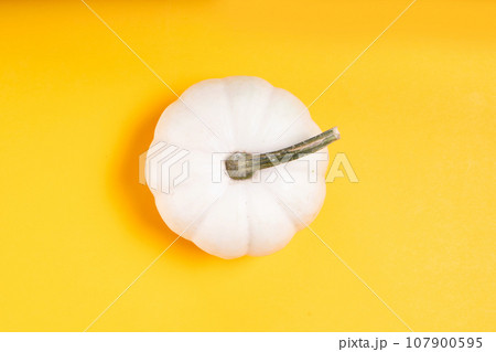 pumpkin on table pumpkin on table 107900595