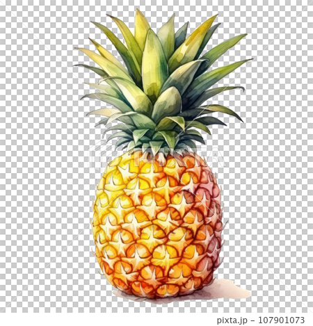 watercolor pineapple isolated 107901073