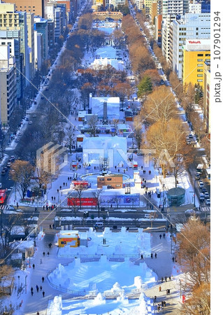 さっぽろ雪まつり 大通会場の風景 107901294