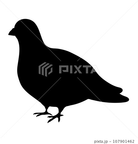 シンプルで可愛い鳩のシルエット 107901462
