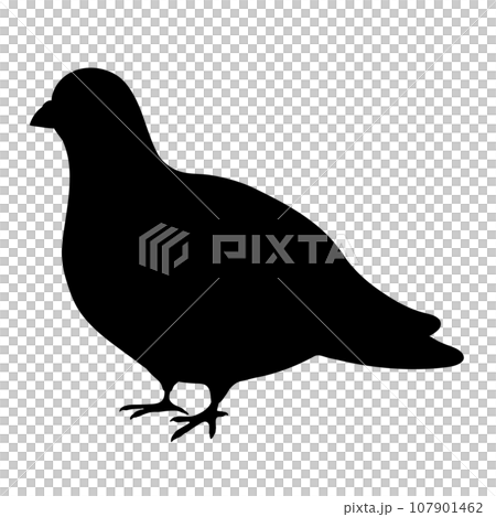 簡單可愛的鴿子剪影 107901462