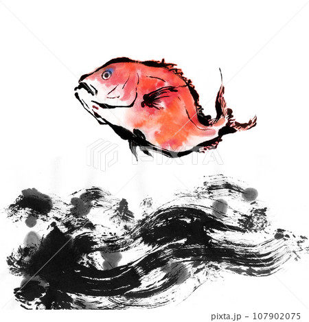 墨汁と水彩で描いた真鯛のイラスト 墨汁と水彩で描いた真鯛のイラスト 107902075