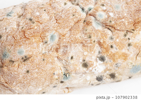 Green and black mold on bread, closeup 107902338