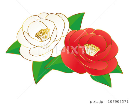 高級感のある椿アイコン 107902571