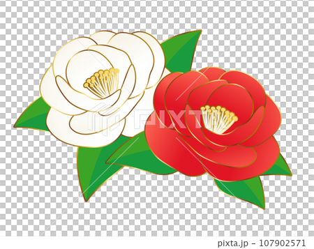 豪華山茶花圖標 豪華山茶花圖標 107902571