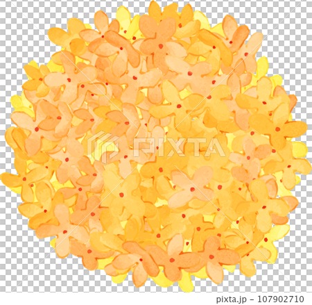 優しい手描き水彩の金木犀ベクター 優しい手描き水彩の金木犀ベクター 107902710