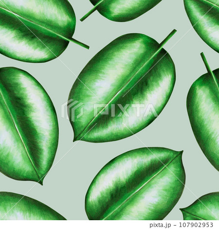 Watercolor realistic seamless pattern tropical illustration of ficus leaf isolated on white background. Beautiful botanical hand painted floral elements. For designers, spa decoration, postcards, 107902953