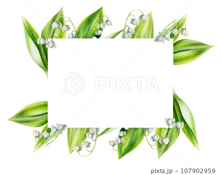 Watercolor frame with bouquet of lilies of the valley flowers isolated on white background. Spring hand painted illustration. For designers, wedding, decoration, postcards, wrapping paper, Watercolor frame with bouquet of lilies of the valley flowers isolated on white background. Spring hand painted illustration. For designers, wedding, decoration, postcards, wrapping paper, 107902959