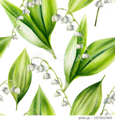 Watercolor seamless pattern with bouquets of lilies of the valley flowers isolated on white background. Spring hand painted illustration. For designers, wedding, decoration, postcards, wrapping paper, Watercolor seamless pattern with bouquets of lilies of the valley flowers isolated on white background. Spring hand painted illustration. For designers, wedding, decoration, postcards, wrapping paper, 107902960