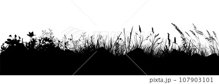 Black silhouette of grass. Skyline. Floral background. Wild grass. hand drawing. Not AI, Illustrat3 . Vector illustration. 107903101