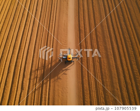 A drone over a farmer's field pollinates plants  107905539
