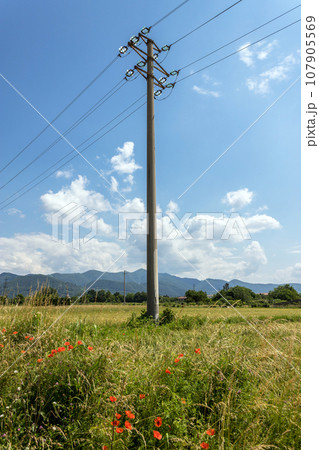 Electric pole Electric pole 107905569