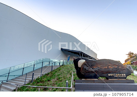 鶴岡市立加茂水族館（クラゲドリーム館） 107905714