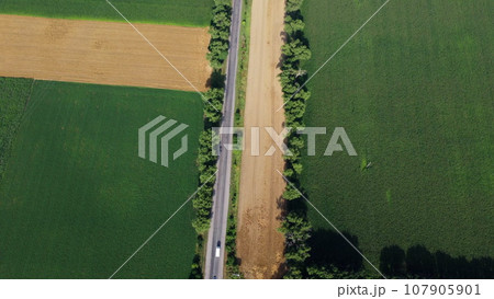 Automobile asphalt road with cars driving between agricultural fields with yellow ripened wheat and different green agricultural crops in summer. Aerial drone view. Agrarian crop panoramic landscape 107905901