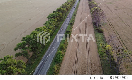 Highway road, driving cars and trees between the areas sown and ripened mature wheat. Agricultural farming agrarian landscape. Harvest crop scenery. Travel transport. Aerial drone view. Top view. Highway road, driving cars and trees between the areas sown and ripened mature wheat. Agricultural farming agrarian landscape. Harvest crop scenery. Travel transport. Aerial drone view. Top view. 107905902