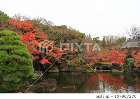 好古園の景観 107907270