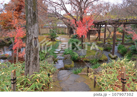 好古園の景観 107907302