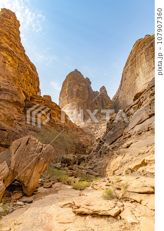 ジャバル・イクマ(サウジアラビア、アル・ウラ) 107907360