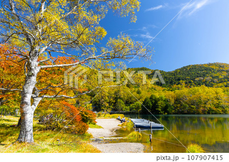 紅葉と湯ノ湖畔 107907415