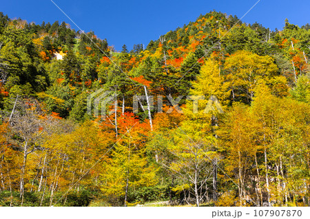 紅葉の金精峠2 107907870