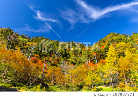 紅葉の金精峠3 紅葉の金精峠3 107907871