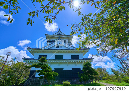 千葉県館山市館山の城山公園の館山城(模擬天守)を西側から見る 千葉県館山市館山の城山公園の館山城(模擬天守)を西側から見る 107907919