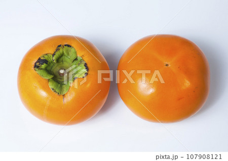 白背景の柿の写真 鳥取県 輝太郎柿 白背景の柿の写真 鳥取県 輝太郎柿 107908121